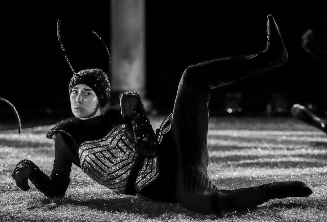 Zdravo maleni, do iduće godine: MDF na dva tjedna okupirao grad i bilo je divno