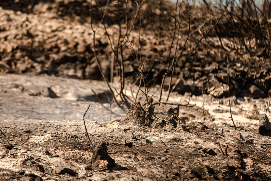 Spaljena zemlja: Dan poslije u Zatonu i Raslini