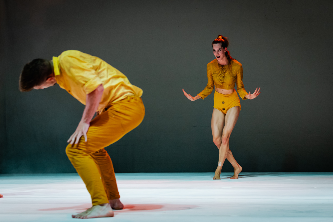 Šibenski plesni festival otvoren vratolomijama: Grad je idućih pet dana plesni centar svijeta