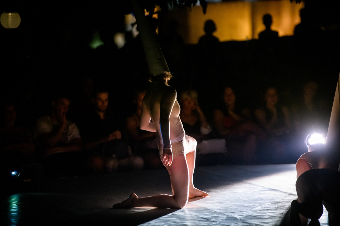 Mistična koreografija umjetnika iz Beograda oduševila šibensku publiku