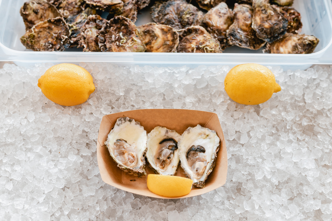 Posjetite novootvorenu kušaonicu školjaka i vina Oyster22! 