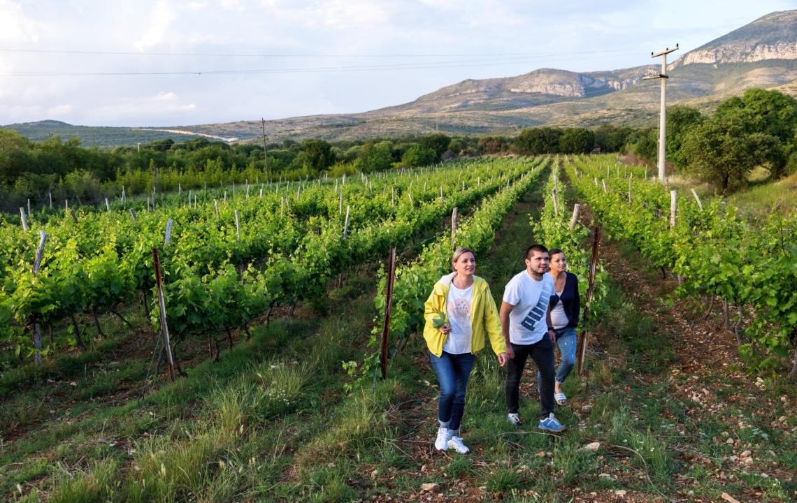 Upisi bez državne mature na stručne studije Veleučilišta „Marko Marulić“ u Kninu na trećem upisnom roku