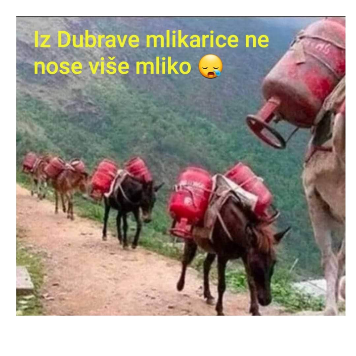 Nekad su mlikarice na magarcima iz Dubrave donosile mlijeko u grad: Stvari su se malo promijenile 