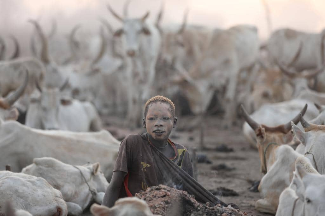 Matina strast su fotografija i daleka putovanja: 'Najuzbudljivija su ona gdje nema hotela i restorana'