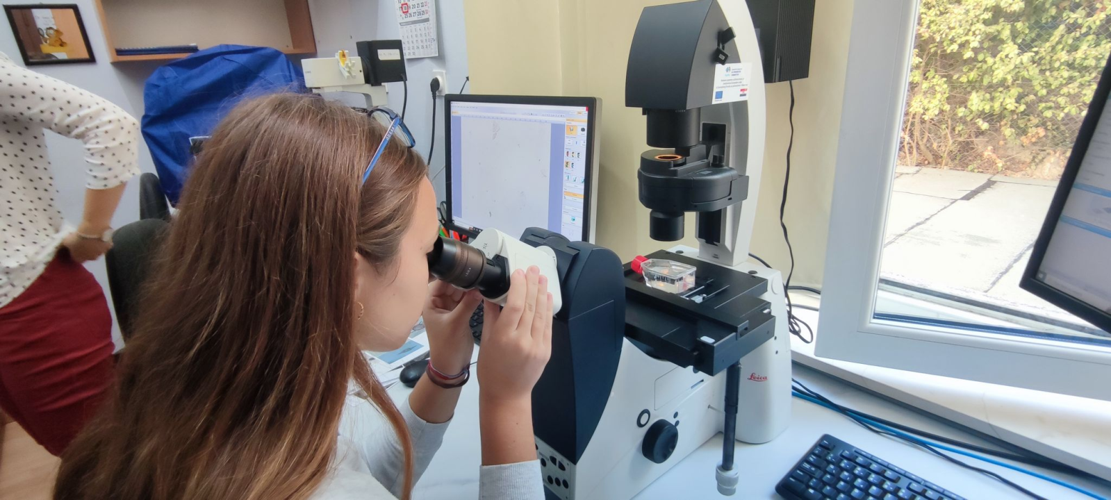 Izuzetno iskustvo sudionika projekta „Call of Poseidon“: Naučili kako čuvati mora, ali i upoznali ljepote šibenskog kraja 