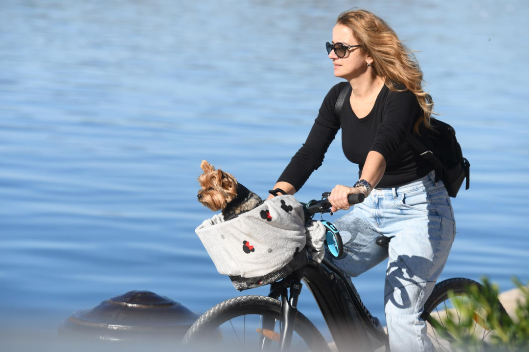 Na ovaj prizor na šibenskoj rivi sigurno je rijetko tko ostao ravnodušan