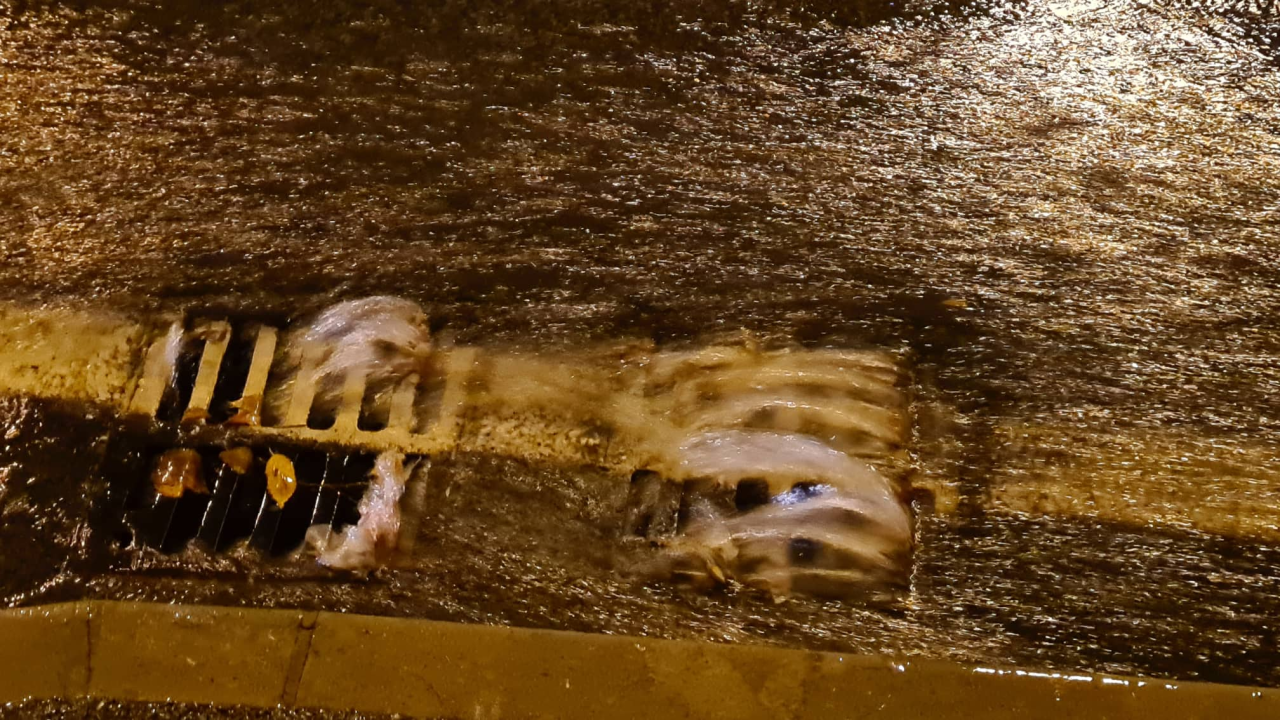 Kiša je pala, poplavila ulica na Šubićevcu, na Poljani podignuta  brana