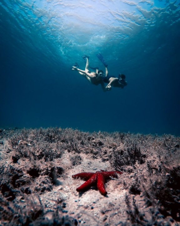 Izložba fotografija 'Dalmacija u tvom oku' u Dalmare shopping centru