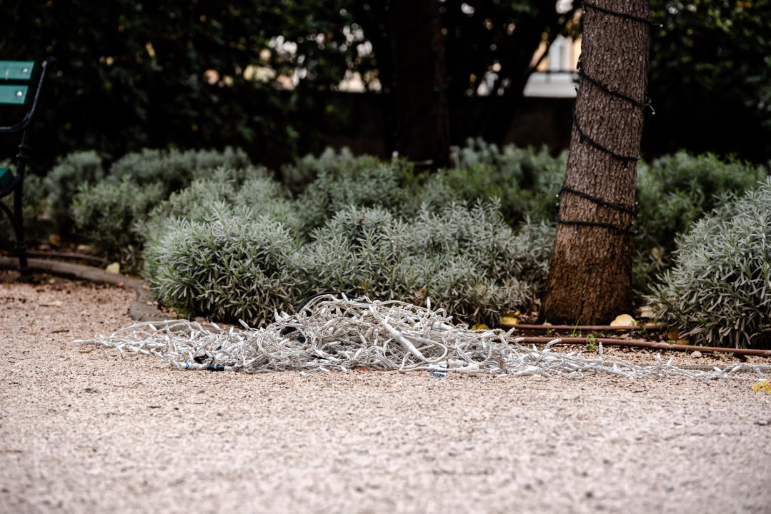 Brojimo sitno do najveselijih dana u godini: Počelo čišćenje i ukrašavanje Đardina  