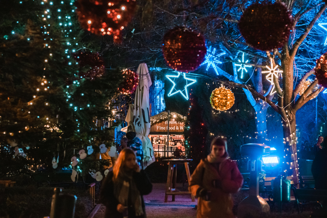 Absolut Beginners Bowijevim hitovima rasplesali Adventuriste