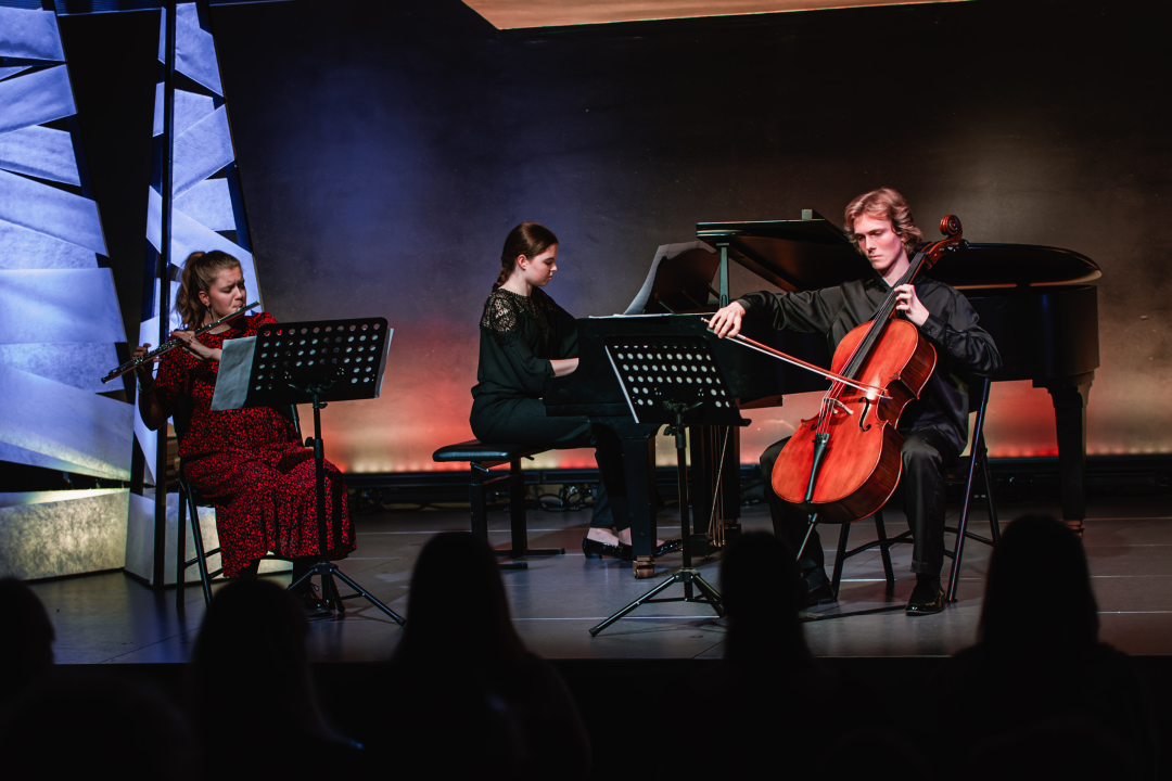 Božićni koncert učenika glazbene škole oduševio prepunu Kuću umjetnosti Arsen