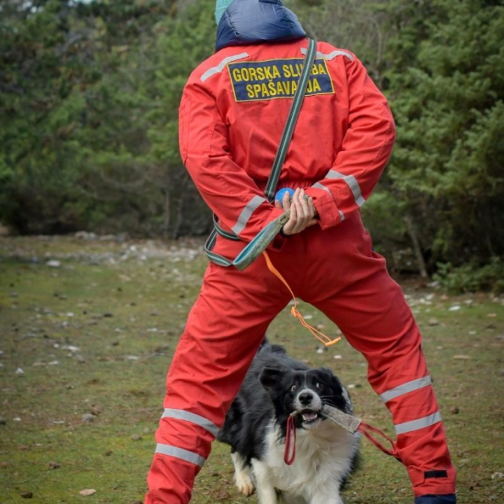 Psi su jako važni u potražnim akcijama, a ovako izgleda trening mladih pasa i štenaca