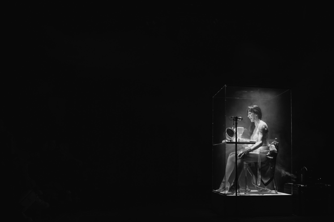 'Ljubavnice': Predstava Senke Bulić izazvala veliki interes Šibenčana