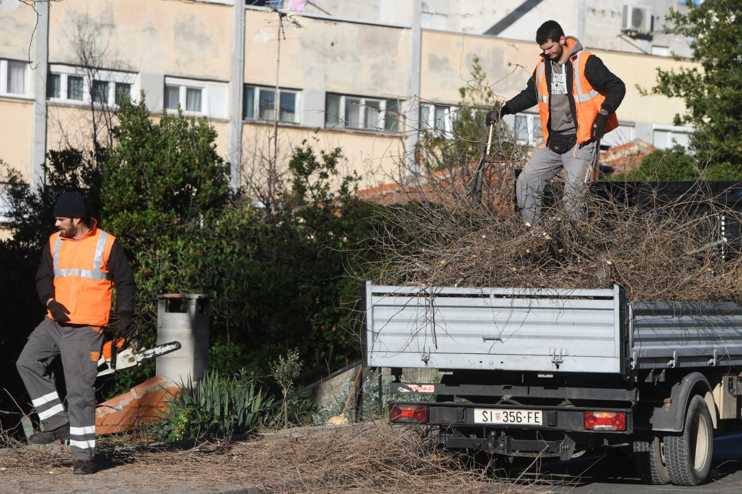 Zeleni grad u zimskoj akciji: Uklanjaju suhe grane i škaraju krošnje stabala