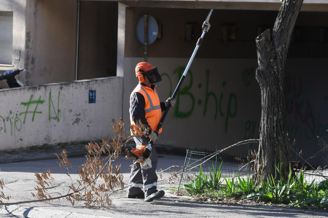 Zeleni grad u zimskoj akciji: Uklanjaju suhe grane i škaraju krošnje stabala