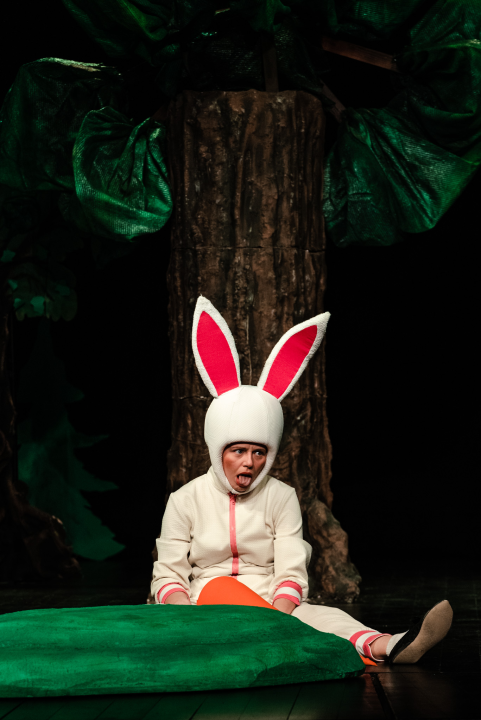 Šibensko kazalište ima novu predstavu za djecu: 'Ovo je nastavak avantura zeke i vjeverice'