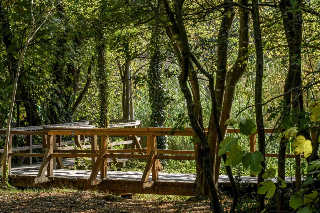 Posjeti NP "Krka" na Praznik rada, preuzmi svoju sadnicu i posadi je za budućnost!