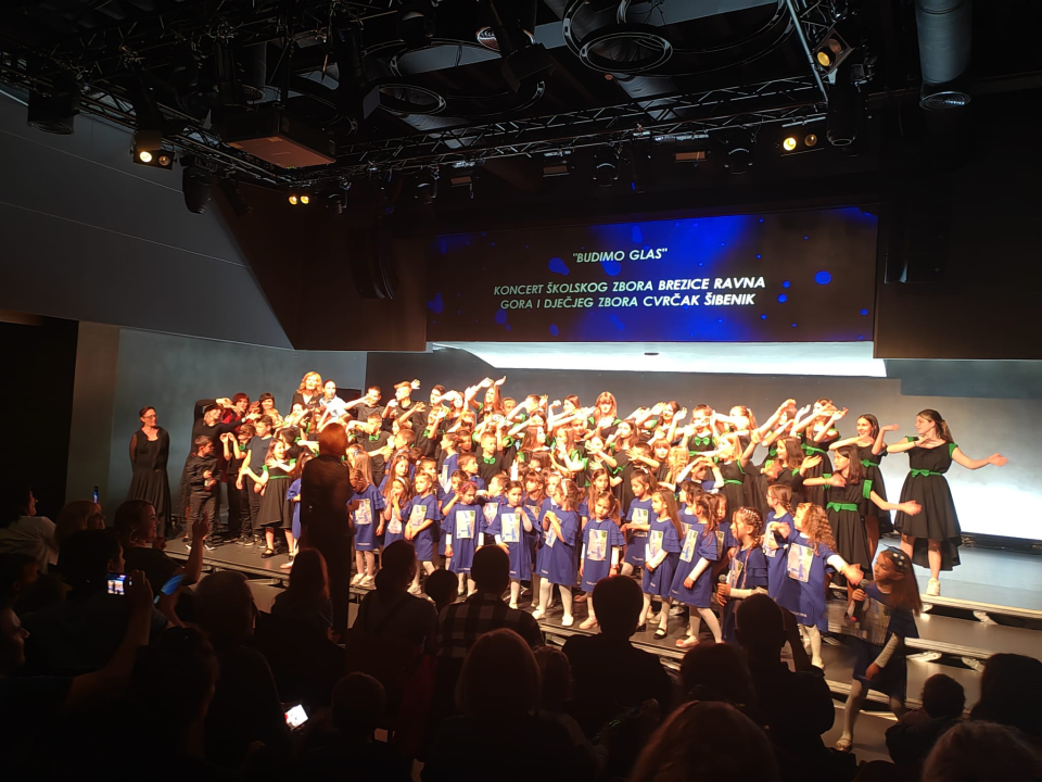 'Mali cvrčci' i njihovi gosti u Kući umjetnosti Arsen oduševili publiku koncertom 'Budimo glas' 