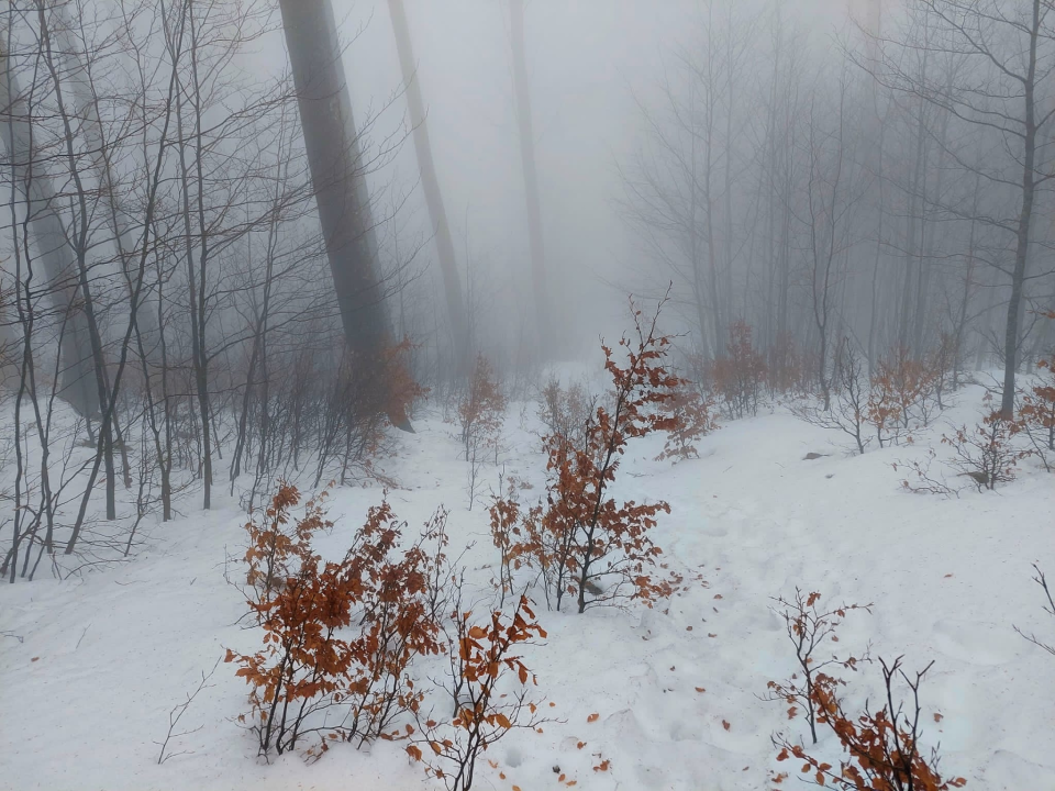 Kninjanin Ivan Džepina obišao 158 hrvatskih vrhova, a na posljednjem je zaprosio djevojku
