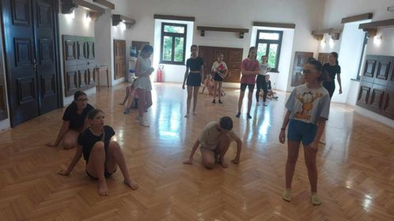 Učenice šibenske OŠ za balet i suvremeni ples na ljetnoj školi u Grožnjanu
