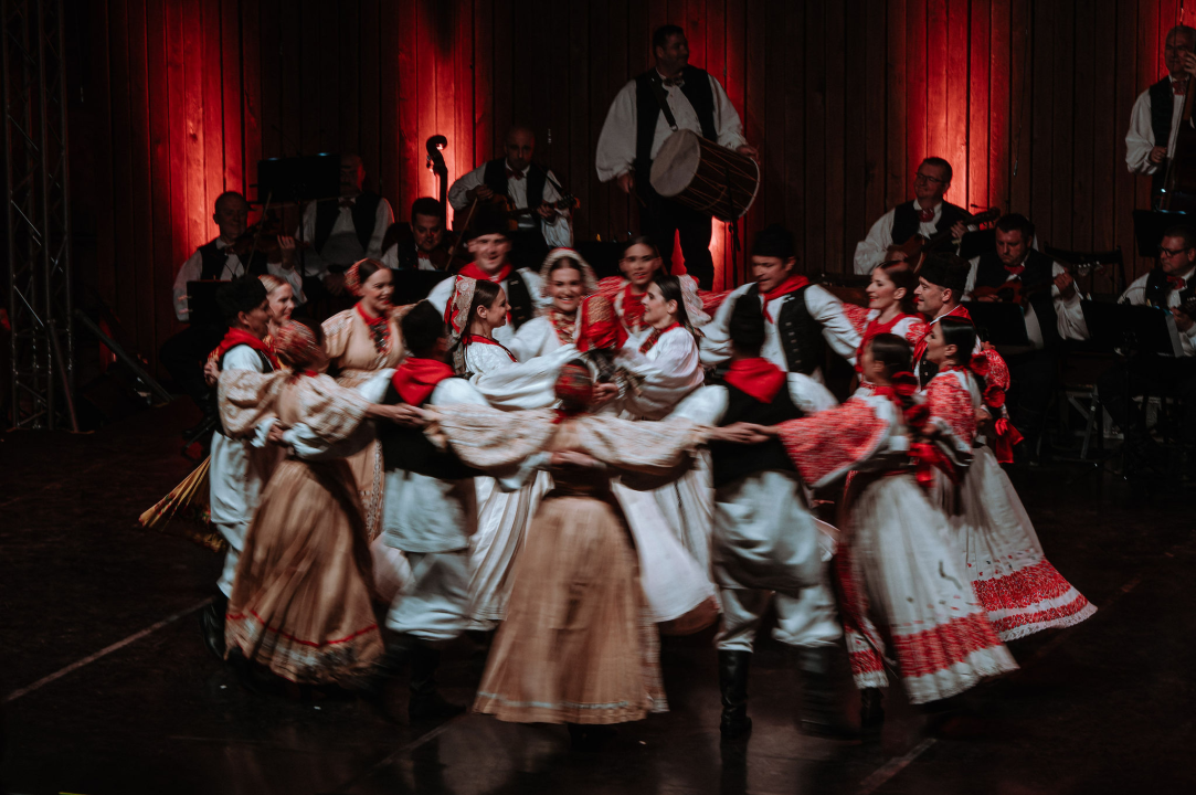 Raskoš i sjaj Ansambla Lado na Tvrđavi sv. Mihovila: Bogatstvo nošnji i spektakularni plesovi oduševili šibensku publiku
