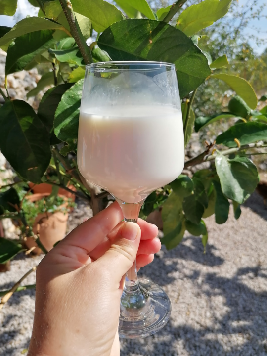 Ivana se bojala buba, a danas u zaleđu Vodica ima ranč koji je u utrci za najbolji u Hrvatskoj