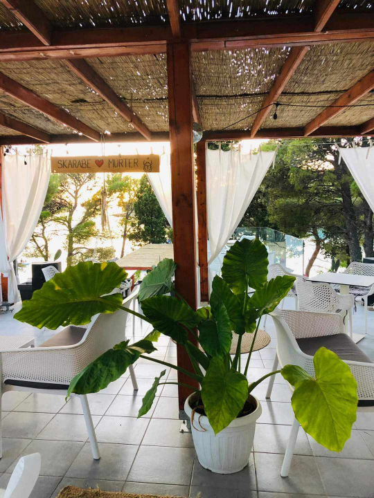 Na plaži Slanica after beach party: U Skarabe Sunny Clubu vrhunsku zabavu osigurat će DJ SuggaDaddy 