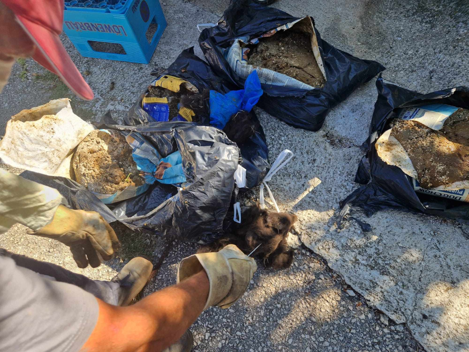 Volonteri kninske udruge ostavili 20 vreća životinjskog otpada u centru Kijeva