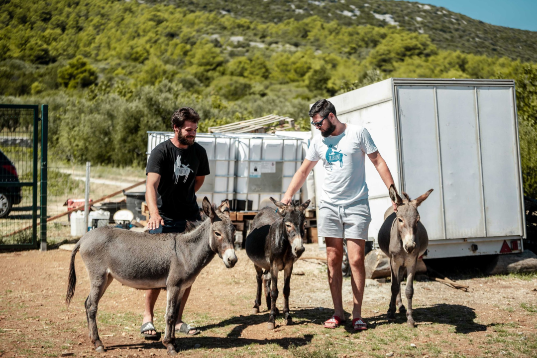Za magarce na farmi 'Ćušin raj' brine se cilo misto: 'Mještani donose hranu, a djeca zaborave na mobitele'