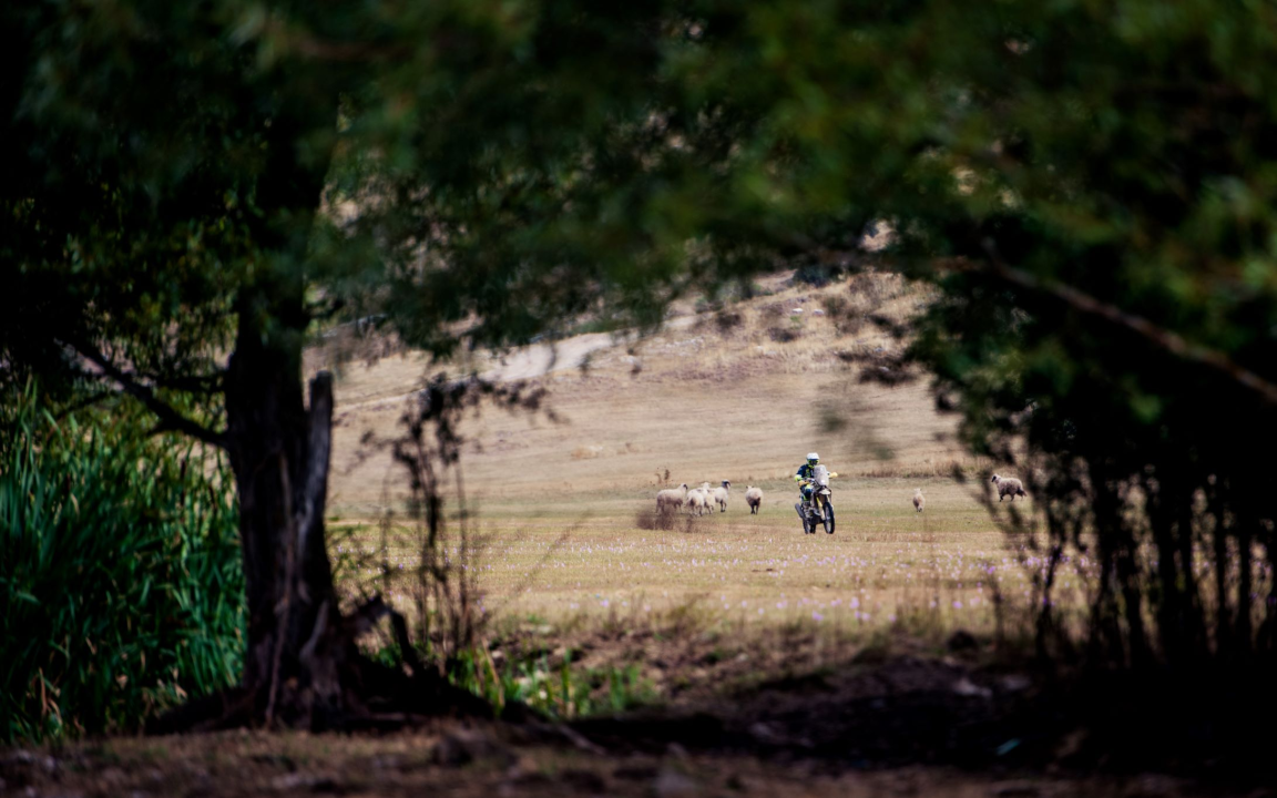 Dinaric Rally, cross-country utrku na Dinaridima, starta u kampu kod Knina