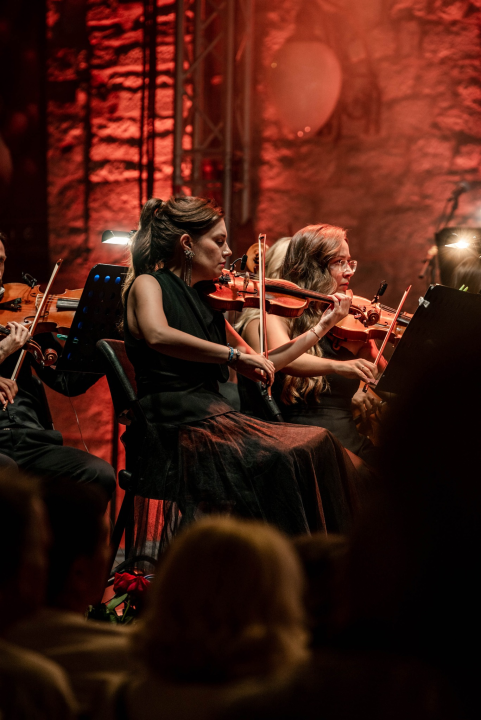 Sinoć je završena 'Šarac era' Šansone, počela je 'Miše era': Promjene i modernizacija su nužne