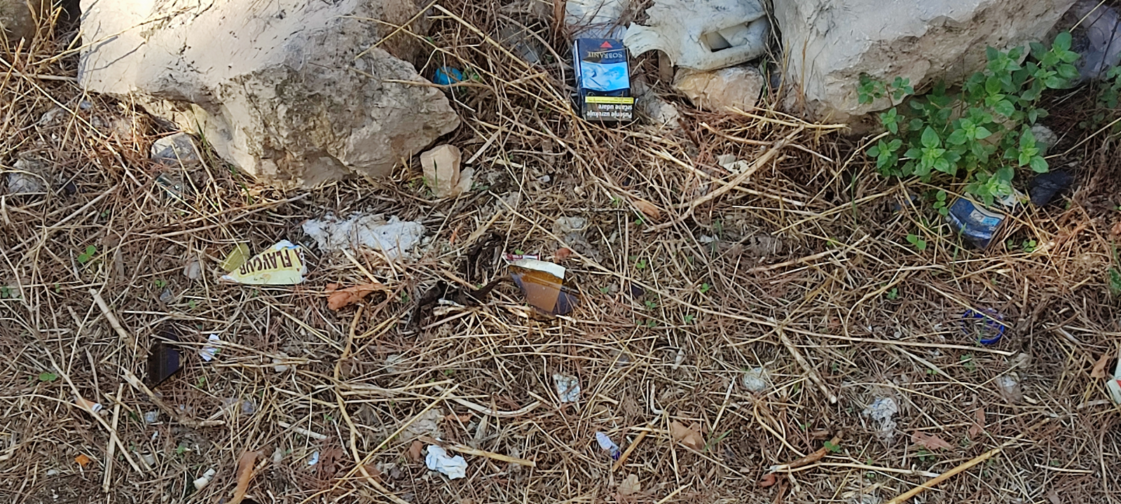 Čitatelji nam šalju fotografije prljavog Šibenika od Meteriza do Vidika: ‘O smradu da ne govorim’