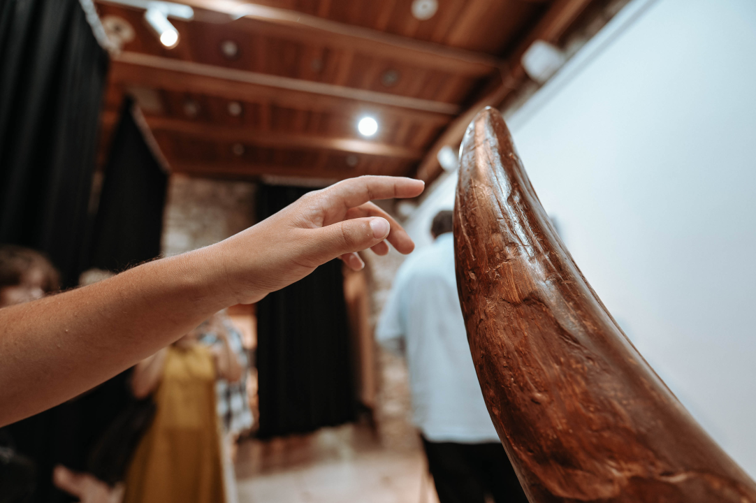 U Muzej ‘stigao’ stepski mamut iz Slavonskog Broda: ‘I Drniš svog mamuta ima'