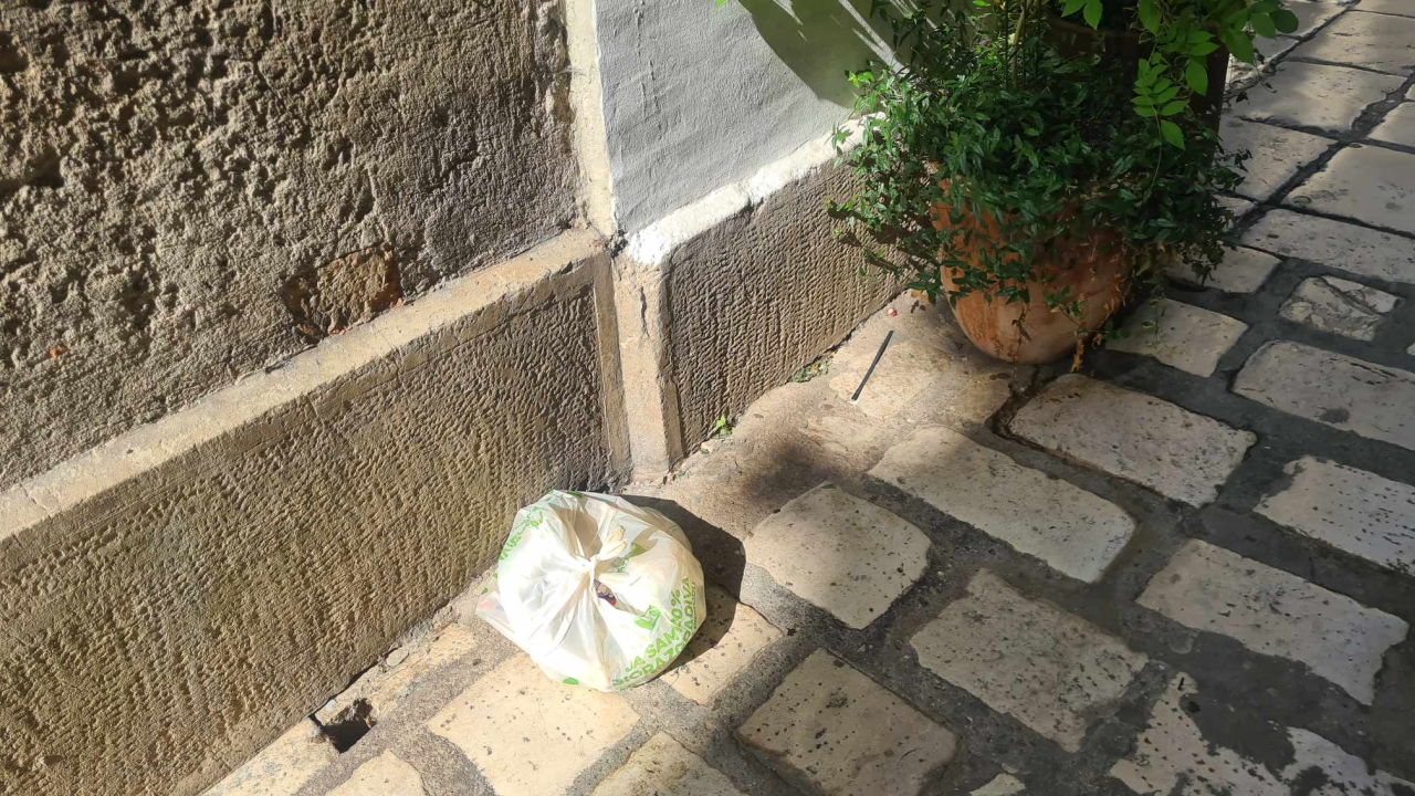 'Ispred Cvjetnog doma doslovno je javni zahod, bacaju od uložaka do četki za WC'