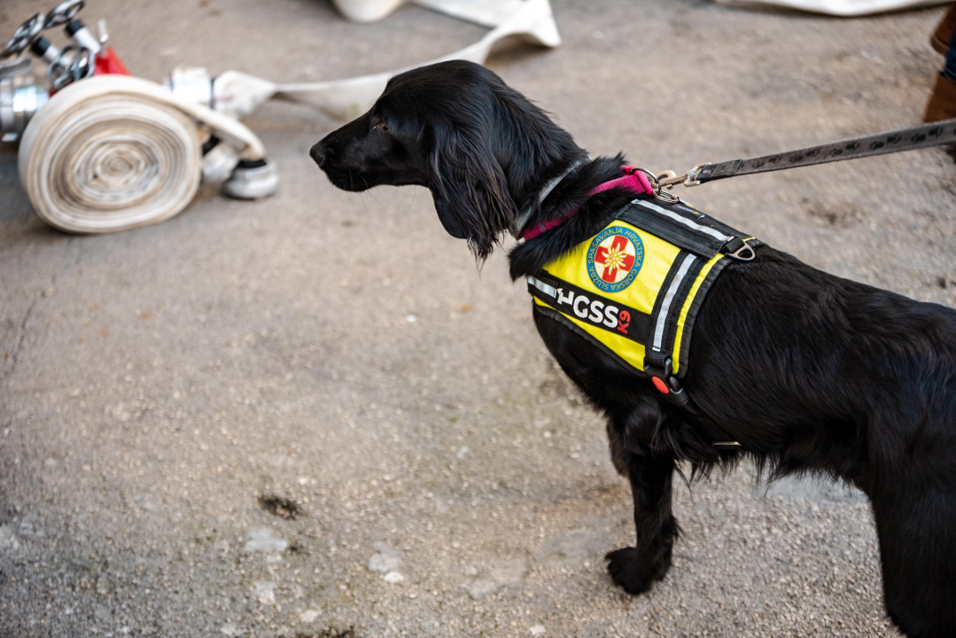 Živahno je bilo u Cvjetnom domu: 'Intervenirali' vatrogasci, HGSS-ovci, Crveni križ, policija… 