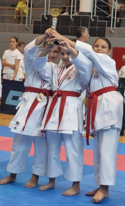 Najuspješnija godina u povijesti Karate kluba Osvit: 'U idućoj godini imamo visoke ciljeve'