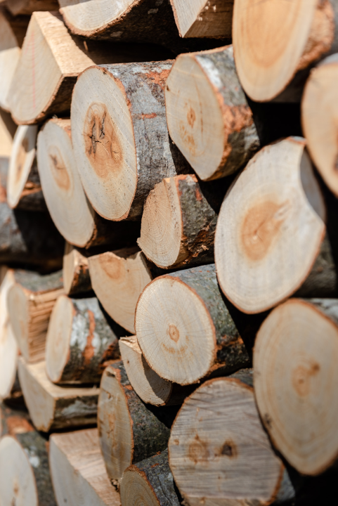 Opskrbite se za zimu jer su iz Vrcić drva snizili sve cijene!