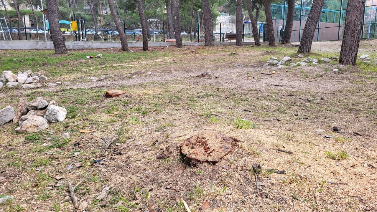 'Masakr' u parku Rasadnik na Vidicima: Sječe li Zeleni grad stabla mimo studije koju je naručio Grad?