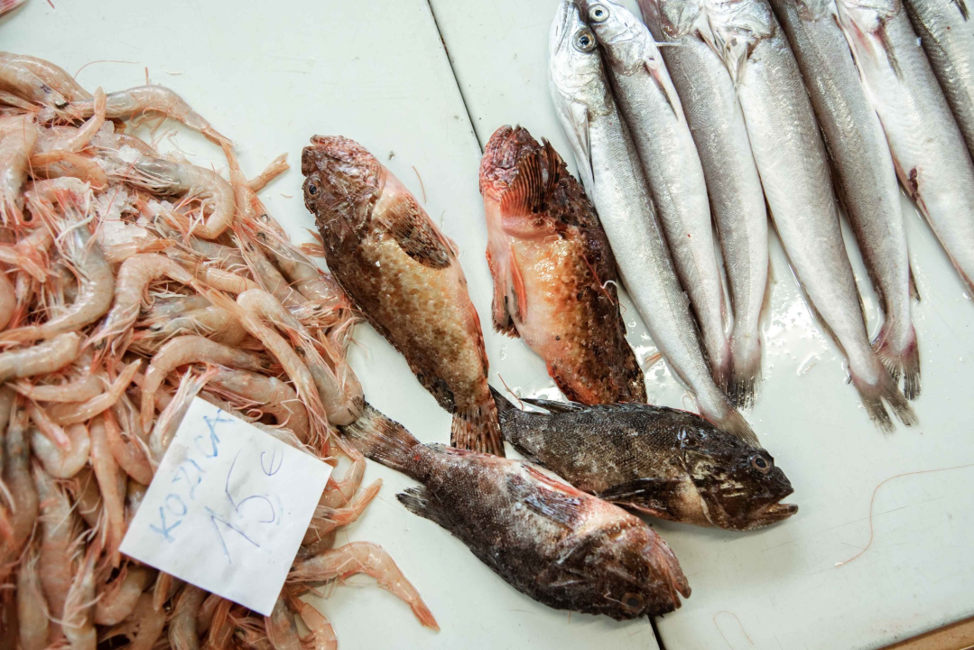 Kakav dan, takva i ponuda: Južina i lovostaj nude depresiju na peškariji i pijaci