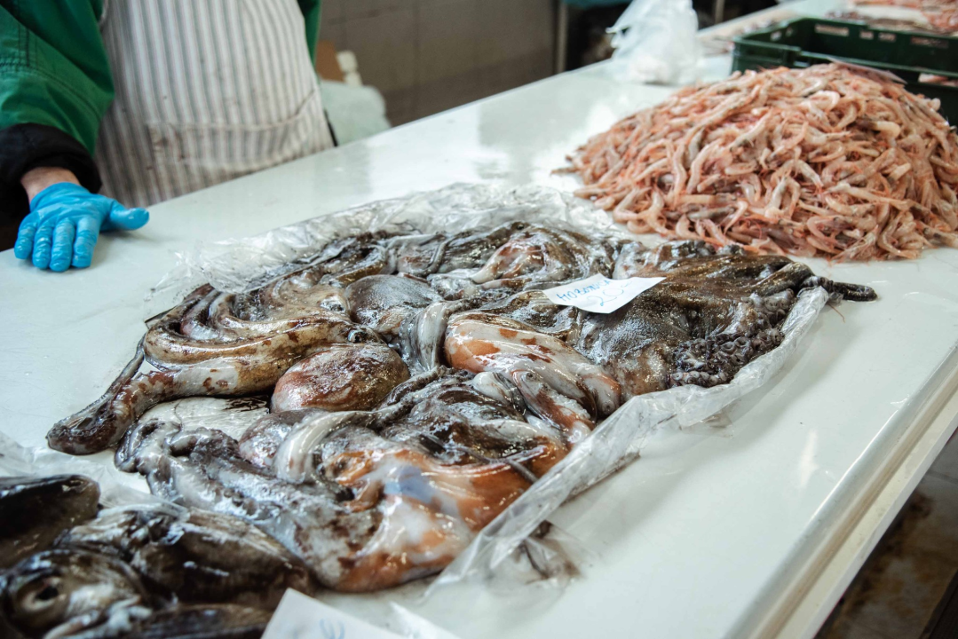 Kakav dan, takva i ponuda: Južina i lovostaj nude depresiju na peškariji i pijaci