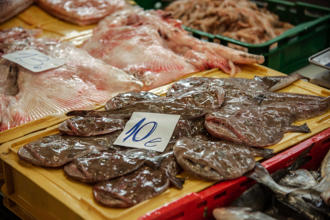 Kakav dan, takva i ponuda: Južina i lovostaj nude depresiju na peškariji i pijaci