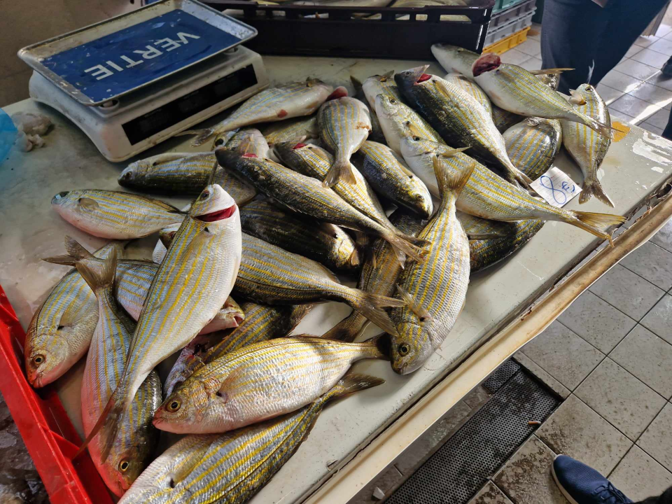 Jugo učinilo svoje: Ne baš bogata ponuda ribe na šibenskoj peškariji na Veliki petak 