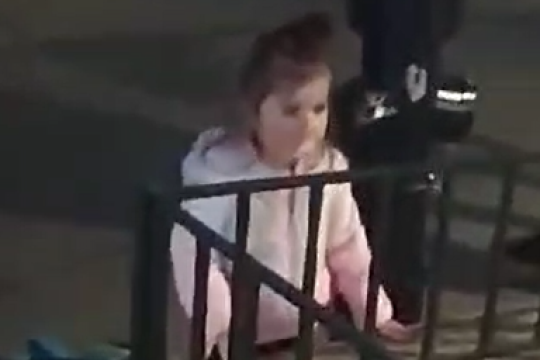 Bečka policija vjeruje da je na snimci nestala Danka 