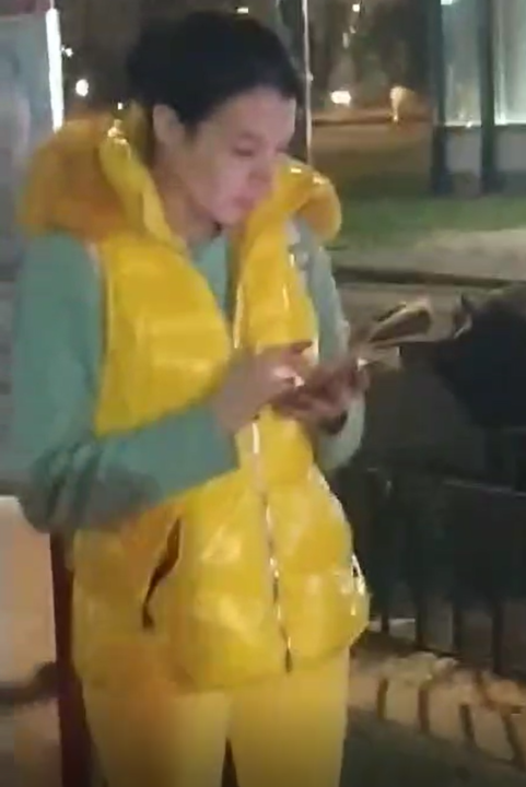 Bečka policija vjeruje da je na snimci nestala Danka 