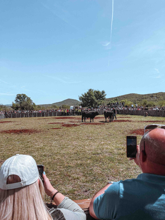 Bili smo na Bikijadi u Nevestu: ‘Željeli smo barem nakratko vratiti život u kraj koji umire’ 