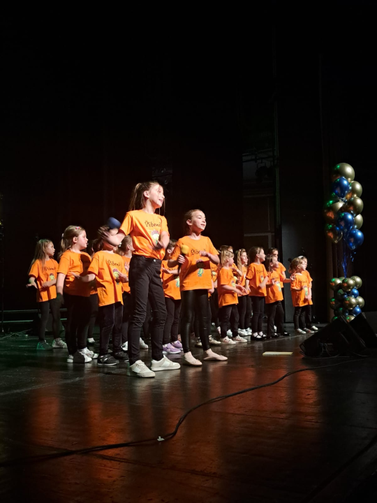 Djeca iz DV Šibenska maslina i Smilje sudjelovala na koncertu dječjih zborova u Rijeci  