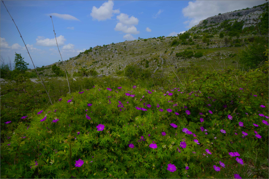 Na Promini otvoreno novo penjalište Magaretaš sa čak 35 penjačkih pravaca