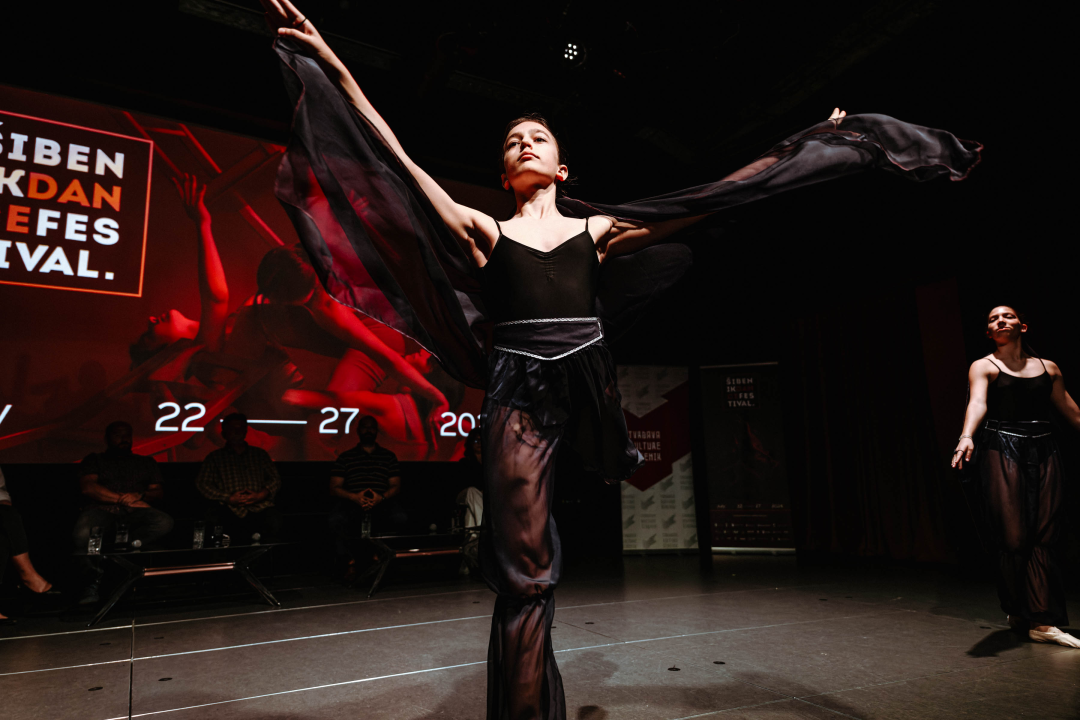 Plesni festival u Šibenik dovodi umjetnike iz cijelog svijeta!