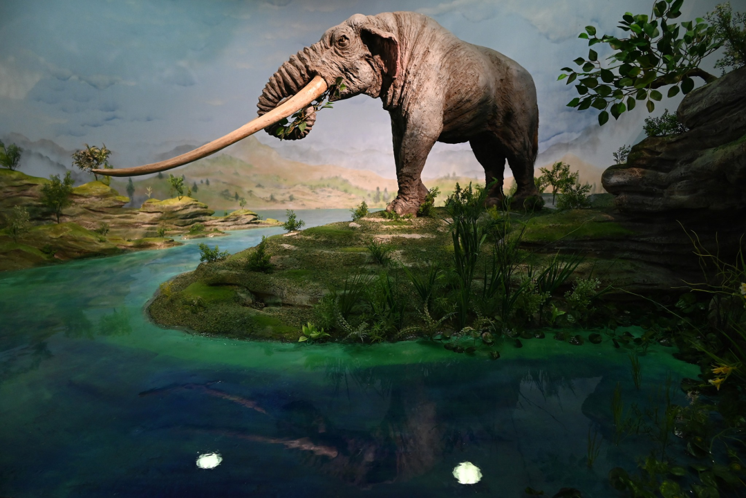 Šibenčani na Međunarodni dan muzeja posjetili Tomislavgrad i Grabovicu 