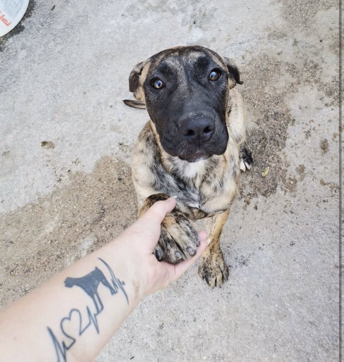 Omiljeni bistro Kod Starog odlično je odredište i u ljetnim danima!